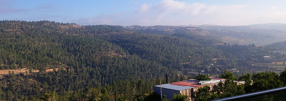 Ein Kerem Hotel Jerusalem Eksteriør bilde